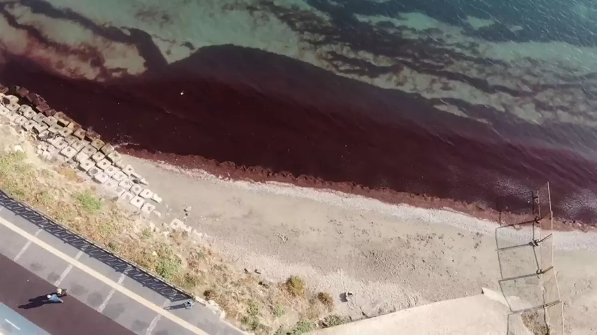 Tekirdağ kıyıları kırmızı renge büründü