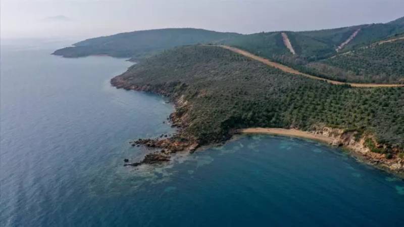 orman-alanlarinin-deniz-kiyisinda-kalan-bolumu-ozel-mulkiyete-tahsis-edilebilecek-aX8KjwvT.jpg
